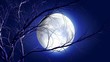 animated cartoon Halloween background with growing tree