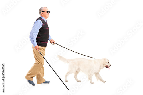 Photo: Blind man moving with walking stick and his dog Blind man moving with walking stick and his dog