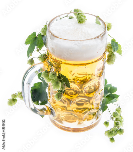 Photo: Mug of Beer with Hops on white Mug of Beer with Hops on white