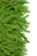 Christmas background. Eve framework
