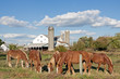 Lancaster County Amish Farm