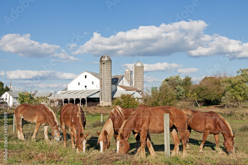 Photo: Lancaster County Amish Farm Lancaster County Amish Farm