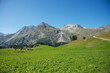 Hiking in the swiss alps (Maloja)