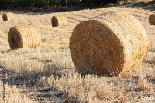 Photo: Bales of Hay - Balle di fieno Bales of Hay - Balle di fieno