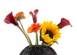 Variety of beautiful flowers in a vase