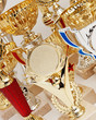 many sports awards