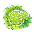 Vector: Slice of lime with leafs and drops of juice Slice of lime with leafs and drops of juice
