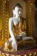 Smiling Buddha