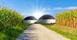 Biogas