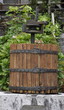 Weinpresse in einem tessiner Dorf