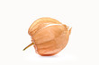 Physalis fruit, closed, isolated