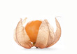 Physalis fruit with open petals