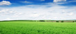 meadow and blue sky