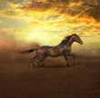 At sunset