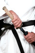 karateman draw sword