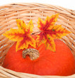 Pumpkin