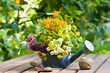 Photo: Blumenstrauss, Bouquet of flowers Blumenstrauss, Bouquet of flowers