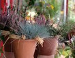 Garten Herbst