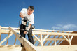 carpenter at work