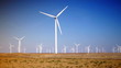 Ecology wind turbines