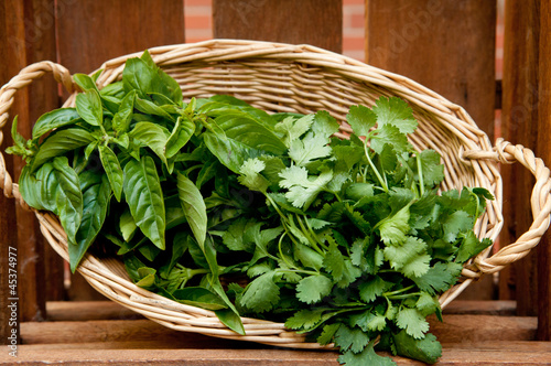 Photo: Basket of hand picked herbs from the garden Basket of hand picked herbs from the garden