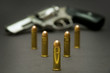 Silver Revolver With Bullets 2