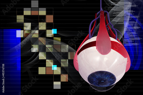 Illustration: eye eye