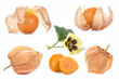 Physalis fruits, collage, isolated