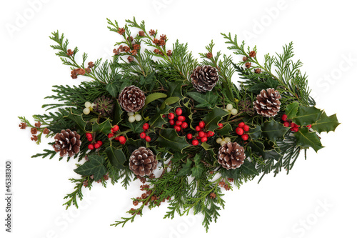 Photo: Winter Flora and Fauna Winter Flora and Fauna