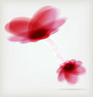 Background of pink flowers