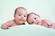 funny newborn baby twins lying on stomach