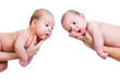 small babies twins on parental hands isolated on white backgroun