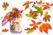 Herbstlaub isoliert
