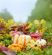Pumpkins And Autumn Foliage In...