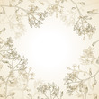 Vector Frame of wild flowers with imitation of old paper