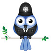Comical bird policeman sat on a branch