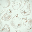 Vector seamless pattern from a vintage fruit