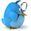 Blue bird
