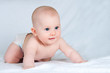 The amusing kid