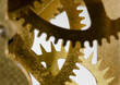 Foto: brass cogwheel macro brass cogwheel macro