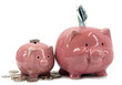 Mother piggy bank with piglet