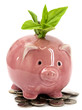 Green economy
