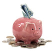 Piggy bank