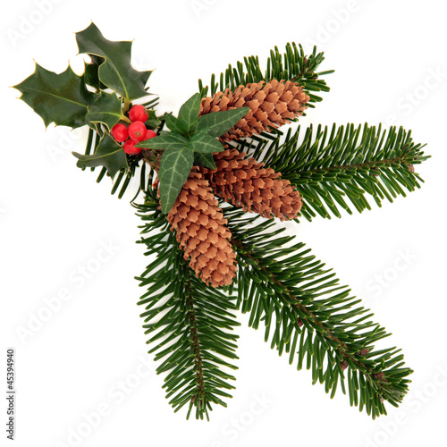 Photo: Decorative Winter Spray Decorative Winter Spray