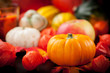 Happy Thanksgiving