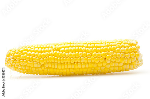 Photo: corn corn
