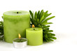 Green burning candle with pine brunch