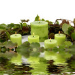 Reflection of burning candle with circle green leaves