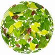 Green Earth