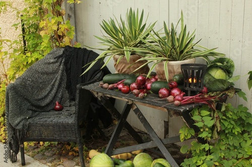 Photo: Harvest Harvest